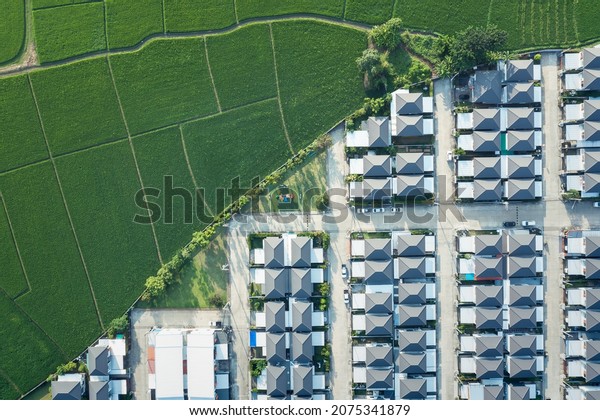 Land or landscape of green field in aerial\
view. Include agriculture farm, house building, village. That real\
estate or property. Plot of land to housing subdivision,\
development, sale or\
investment.