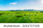 Land plot in aerial view. Identify registration symbol of vacant area for map. That property, real estate for business of home, house or residential i.e. construction, development, sale, rent, buy.
