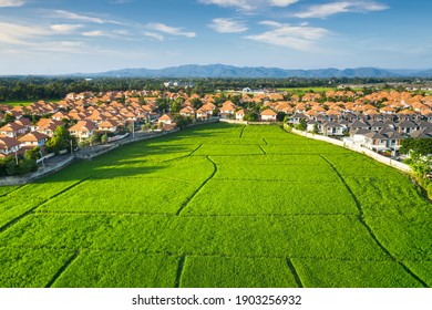 Land plot in aerial view. Include landscape, real estate, green field, crop, agricultural plant. Tract of land for housing subdivision, development, owned, sale, rent, buy or investment in Chiang Mai.