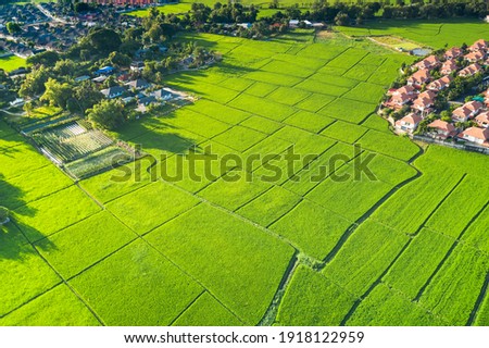 Land plot in aerial view. Include landscape, real estate, green field, crop, agricultural plant. Tract of land for housing subdivision, development, owned, sale, rent, buy or investment in Chiang Mai.