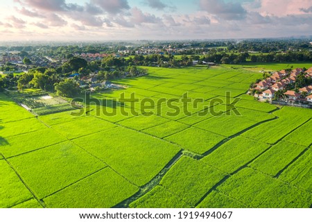 Land plot in aerial view. Include landscape, real estate, green field, crop, agricultural plant. Tract of land for housing subdivision, development, owned, sale, rent, buy or investment in Chiang Mai.