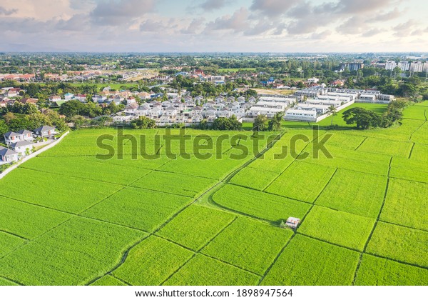 Land plot in aerial view. Include landscape, real
estate, green field, crop, agricultural plant. Tract of land for
housing subdivision, development, owned, sale, rent, buy or
investment in Chiang Mai.