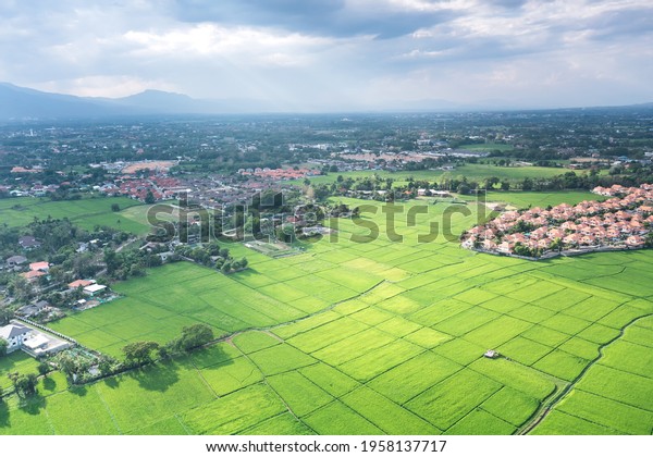 Land plot in aerial view. Include landscape, real
estate, green field, crop, agricultural plant. Tract of land for
housing subdivision, development, owned, sale, rent, buy or
investment in Chiang Mai.