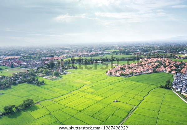 Land plot in aerial view. Include landscape, real\
estate, green field, crop, agricultural plant. Tract of land for\
housing subdivision, development, owned, sale, rent, buy or\
investment in Chiang Mai.