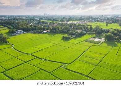 Land plot, land lot. Consist of aerial view of landscape, green field, agricultural plant, crop and ridge. Tract of land for cultivate, owned, sale, development, rent, buy or investment in Chiang Mai. - Shutterstock ID 1898027881