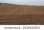 land, plow, soil, agricultural, preparation, arable, work, tractor, industry, furrow, ground, sky, modern, horizontal, vehicle, earth, cultivation, rural, beautiful, beauty, blue, food, rice, nature, 