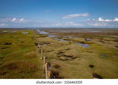 Land Reclamation Off The Peninsula Eiderstedt