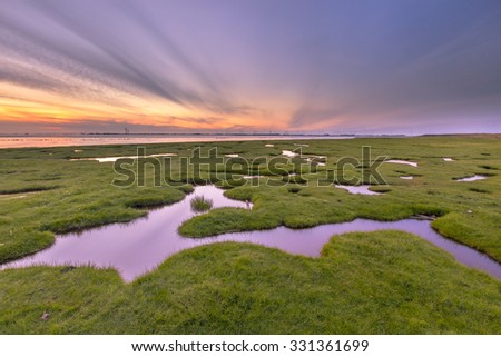 Land reclamation in the tidal marsh of the Punt van Reide in the Waddensea area on the Groningen coast in the Netherlands