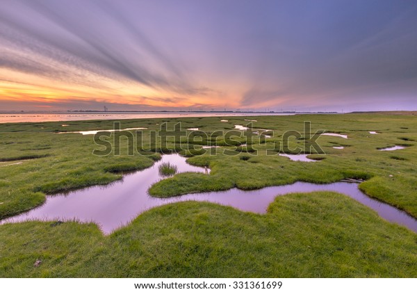 Land reclamation in the tidal marsh of the\
Punt van Reide in the Waddensea area on the Groningen coast in the\
Netherlands