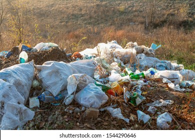 Landfill in a forestation. Environmental pollution. Forest pollution. Ecological problems.Dump