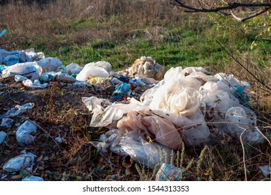 Landfill in a forestation. Environmental pollution. Forest pollution. Ecological problems