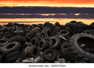 Landfill with old tires and tyres for recycling. Reuse of the waste rubber tyres. Disposal of waste tires. Worn out wheels for recycling. Tyre dump burning plant. Regenerated tire rubber produced.
