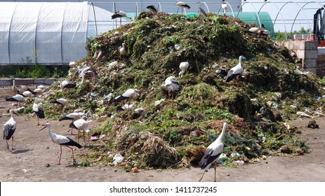 Landfill Waste In Nature,bio-waste Storage Facility