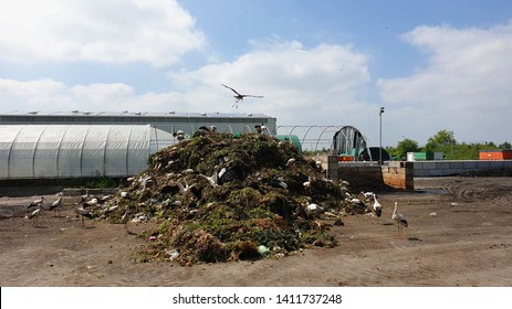 Landfill Waste In Nature,bio-waste Storage Facility