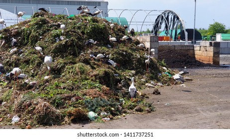 Landfill Waste In Nature,bio-waste Storage Facility