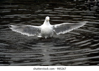 landing