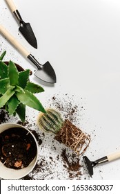 Landing Of Flower In A Flowerpot. Flat Lay Composition With Indoor Flowers, Garden Tools And Loose Soil On A White Background. Space For Text