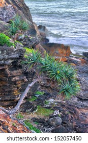 Landing Point Of Captain Cook During White Discovery Of Australia In 1770