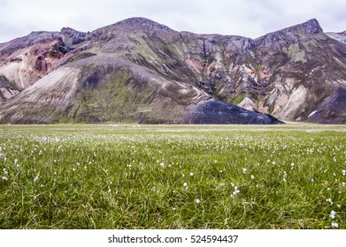 Landmannalaugar, Iceland