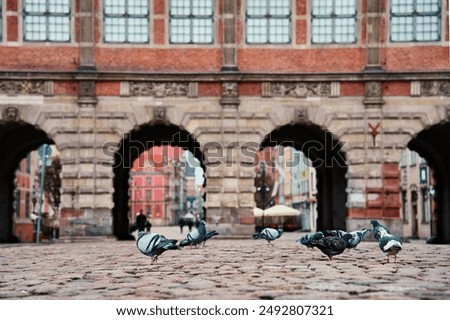 Landmark Green Gate in Gdansk city in Poland. Historical center in old town in European city. Historical building with arch, main entrance to old town