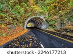 A landmark Smoky Mountains tunnel, which lies between Townsend, Tennessee and Cades Cove,  is surrounded by a show of Autumn colors.