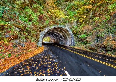 A landmark Smoky Mountains tunnel, which lies between Townsend, Tennessee and Cades Cove,  is surrounded by a show of Autumn colors.