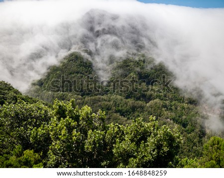 Landsacpe of mountain top and clouds floating down on the forest