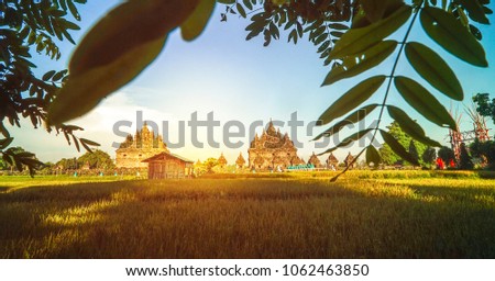 Landsacpe of Plaosan Temple, is a located near of Prambanan Temple with view young rice plant in the morning 
