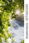 Landsape of Agua Azul with waterfalls in the Tropical forest of Palenque in Mexico.  