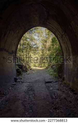 Landsborough Rail Trail Abandoned Historic Railway Tunnel Railway Bridge Tunnel In Forest Tunnel Background Nature Background Hiking Trail