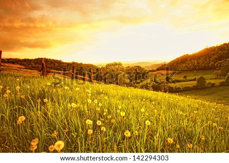 Landscape 2