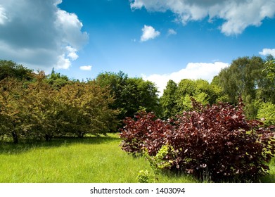 Landscape