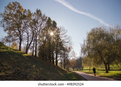 landscape
