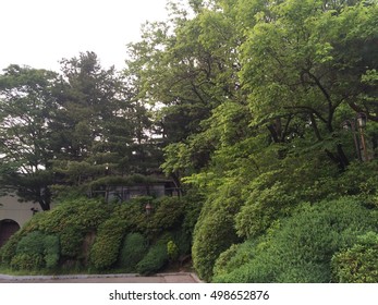Landscape