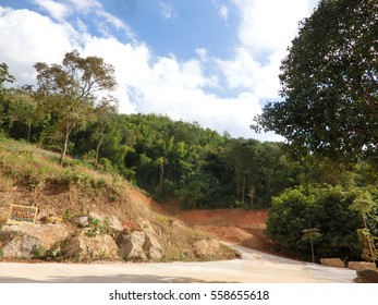 landscape