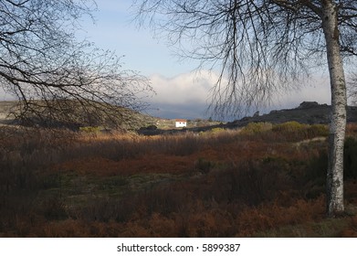 landscape