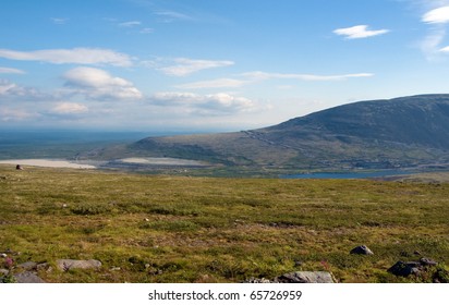 landscape