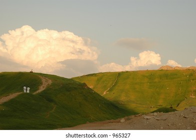 Landscape