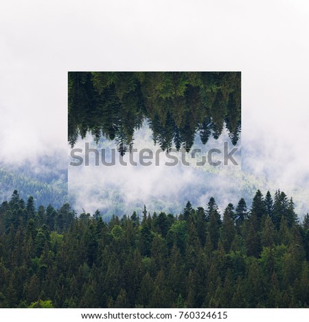 Similar – Foto Bild Coniferous forest in the alps