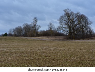 A Landscape Of An Agricultural Field With Spring Trees Without Foliage Next To A Rural Road Passing Through Farmland Under A Cloudy Sky On A Rainy Windy Day.