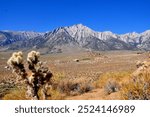 Landscape in the Alabama Hills