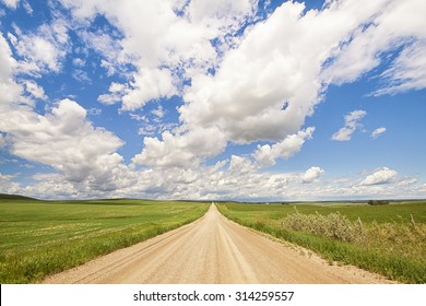 Landscape of an Alberta prairie dirt road leading off into the distance. 