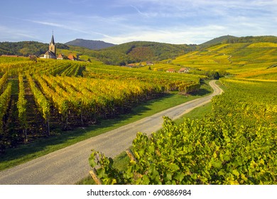 Landscape Of The Alsace Wine Route In Autumn