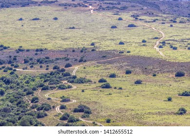 Landscape Of Amakhala Game Reserve