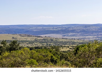 Landscape Of Amakhala Game Reserve