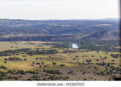 Landscape Of Amakhala Game Reserve