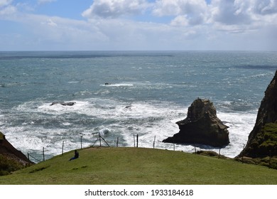 Landscape Of The Amazing Chiloé Big Island, Chile