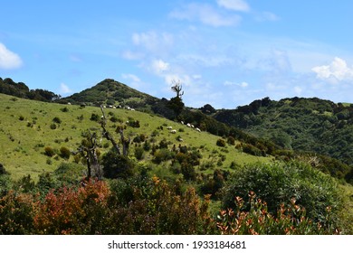 Landscape Of The Amazing Chiloé Big Island, Chile