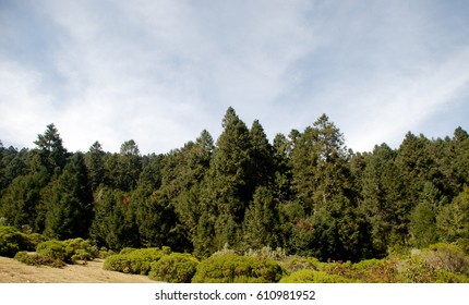 Landscape In Angangueo