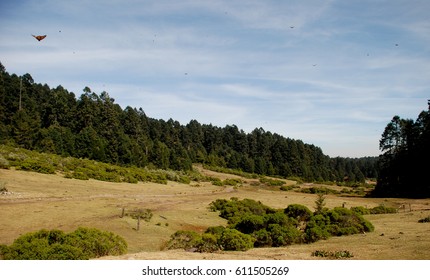 Landscape In Angangueo